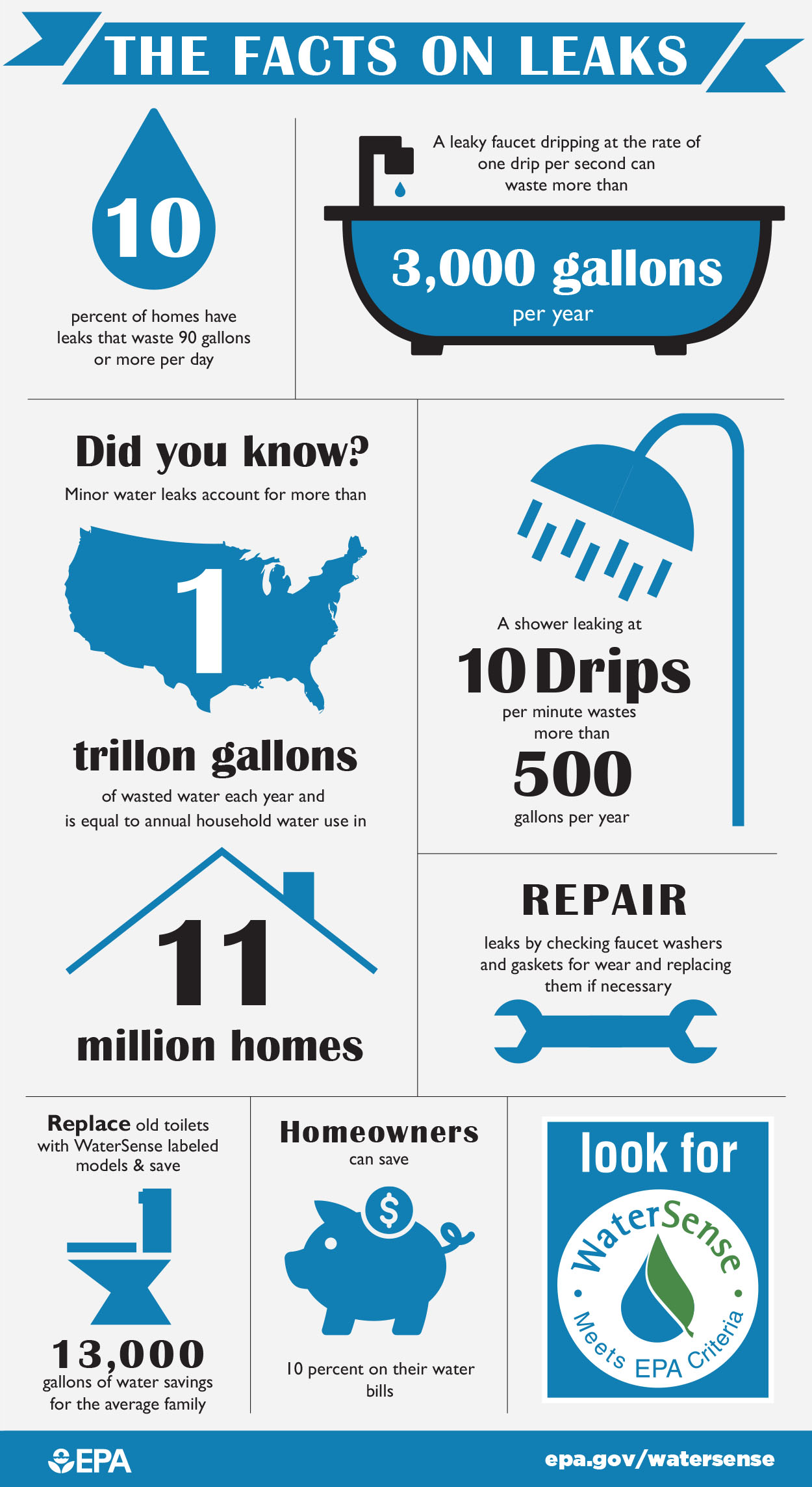 Facts On Leaks Infographic 