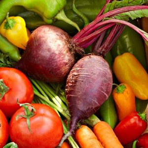veggie garden square harvest